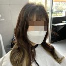 헤어어즈수