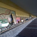 하천(유등천2) 이미지