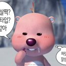 제주 돈떵이 이미지