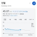 미국 다우지수,나스닥 및 주요 종목 상황 이미지