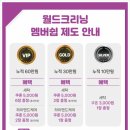 월드VIP세탁 이미지