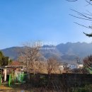 수목공인중개사사무소 이미지