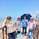 소풍 이미지