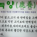 뭉티기생고기