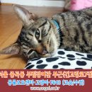 부림장여관 이미지