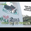 마천유통 이미지
