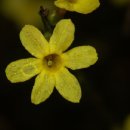 해당화마을 이미지