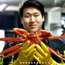 대게집홍게집