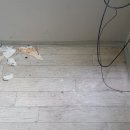 (주)제일케어 이미지