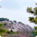 제천유물전시관 | 충북 여행 제천 가볼만한곳 청풍문화유산단지 충주호 벚꽃 명소