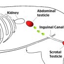 서울88동물의료원 이미지