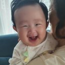 윤*진 - 안양시 동안구 | 윤*진