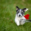 이지케어 재가복지센터 이미지