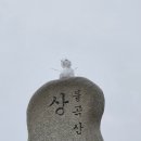 11/29 양주 불곡산(개인산행) 이미지