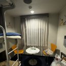 부산항에서 후쿠오카까지 &#39;뉴 카멜리아호&#39; 2인실만 이용한 후기