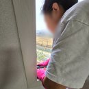 깨끗한청소 이미지