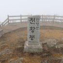 천황지맥 2구간 (상서산 ~ 천왕산)....(1)20240317 (2024 - 09) 이미지