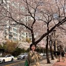 칠복상회 이미지