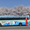 정기코스 이미지