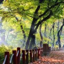김*재 - 안양시 만안구 예술공원로 51 | 김*재