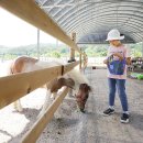 말순농장 이미지
