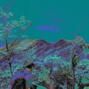 왕소나무민박 이미지