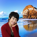 감기획 - 익산시 선화로 223 | 감기획