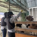 BK승마랜드 이미지