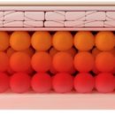 와이디의원 이미지