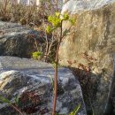 오륙도중학교 이미지