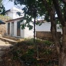 묵호공인중개사사무소 이미지