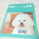 너와펫(PET) 이미지