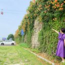 뚝섬한강공원-86 이미지