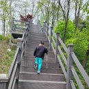 하소생활체육공원 유아숲 이미지