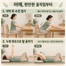 [건강정보]어깨에 특별한 운동이 필요할까? 집에서 먼저 확인할 움직임 3가지 이미지
