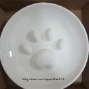 펫앤캣 | 벡스코 궁디 팡팡 캣 페스타, 슬로우식기 '유일앤 펫 - 참참볼(cham cham bowl)' 솔직 후기