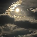 [주간메일 193] 보름달 추석 이미지