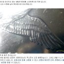 스마트폰 카메라 200 활용 이미지