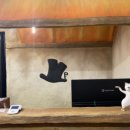 탈출노래연습장 이미지