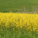 가곡농장 이미지