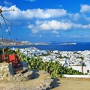 리틀미코노스4 이미지