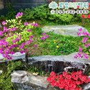 돌담요양병원 이미지