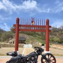 (가격다운) 할리 30인치 mc 풀배거 이미지