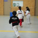 용인대 엘리트 태권도 이미지