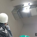 한국이엘에스