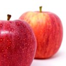 한 과일 이미지