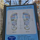 (명산100+) 순창 강천산 산행(2024.11.22) 이미지