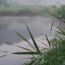 낚시멘토 - 양주시 부흥로 1263 | 낚시멘토