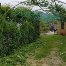 영광목장 이미지