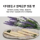 강원도 횡성 도라지 ,더덕 , 깐더덕 , 깐도라지 판매합니다 이미지